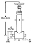 CPC-Cryolab Shutoff Valve CV8 Series Globe Dimensions